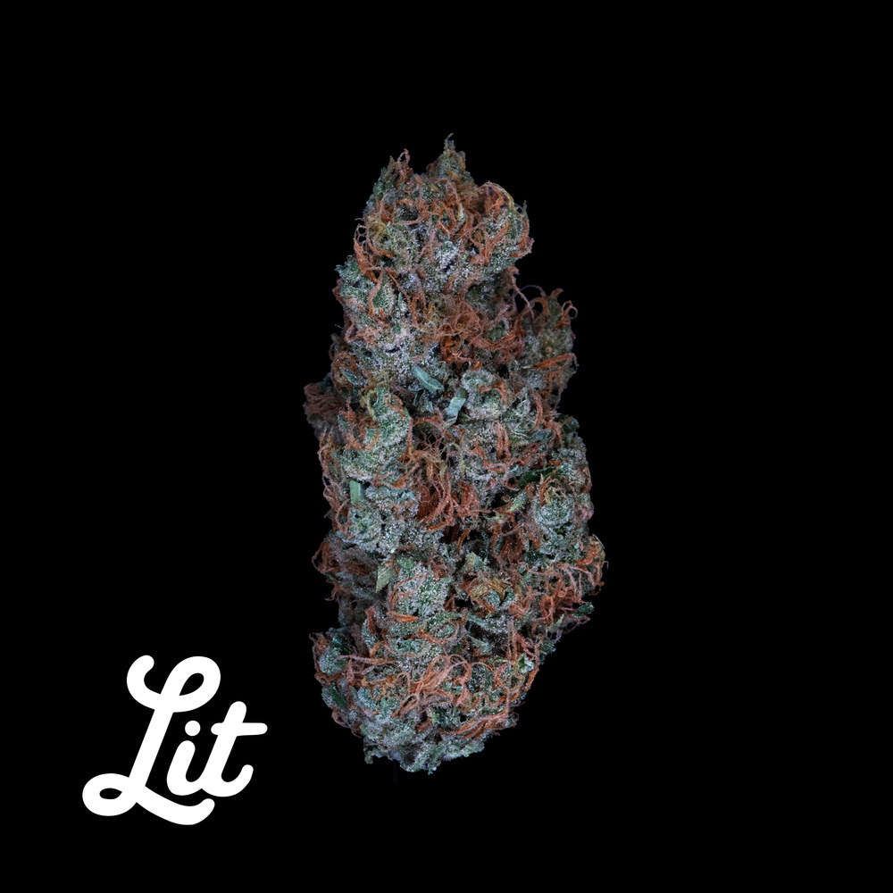 Golden Goat by Garden First