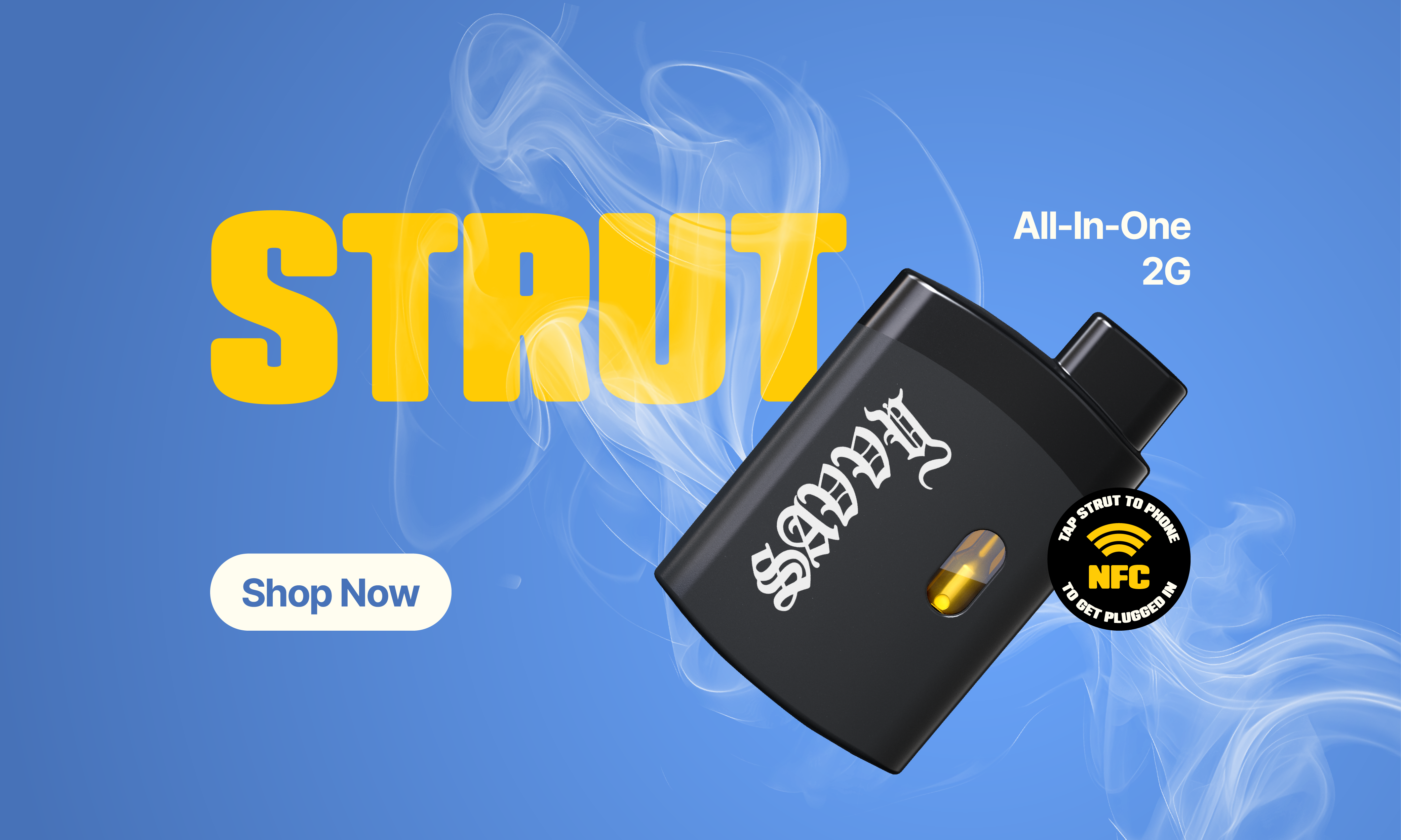 2-for-$225 Savvy Strut 2g All-in-One  special