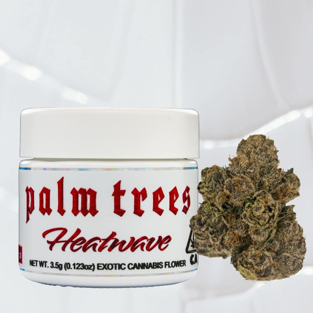 Palm Trees: Beverly Kills