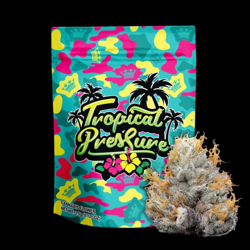 Your Highness - Tropical Pressure Flower Your Highness - Tropical Pressure Flower