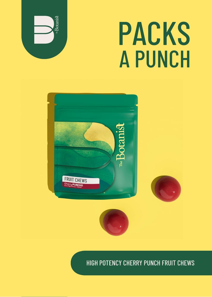 Cherry Punch [2pk] (100mg)