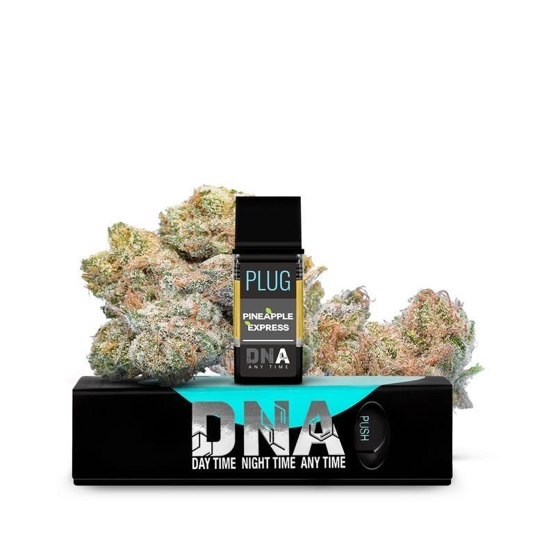 PLUGPLAY™ | PLUG™ Pod | DNA | California | Pineapple Express | 1g