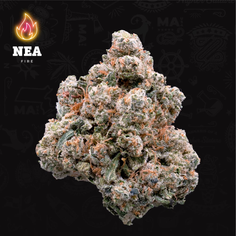 NEA Fire - ZSweet Inzanity Flower