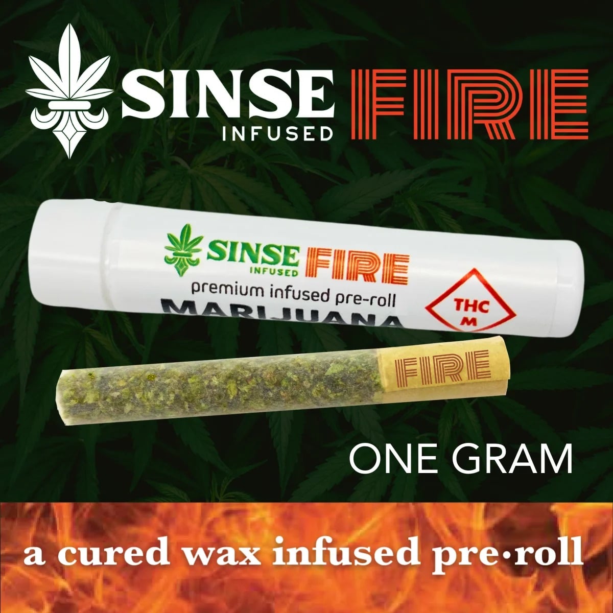 Jungle Cookies Kush Mints