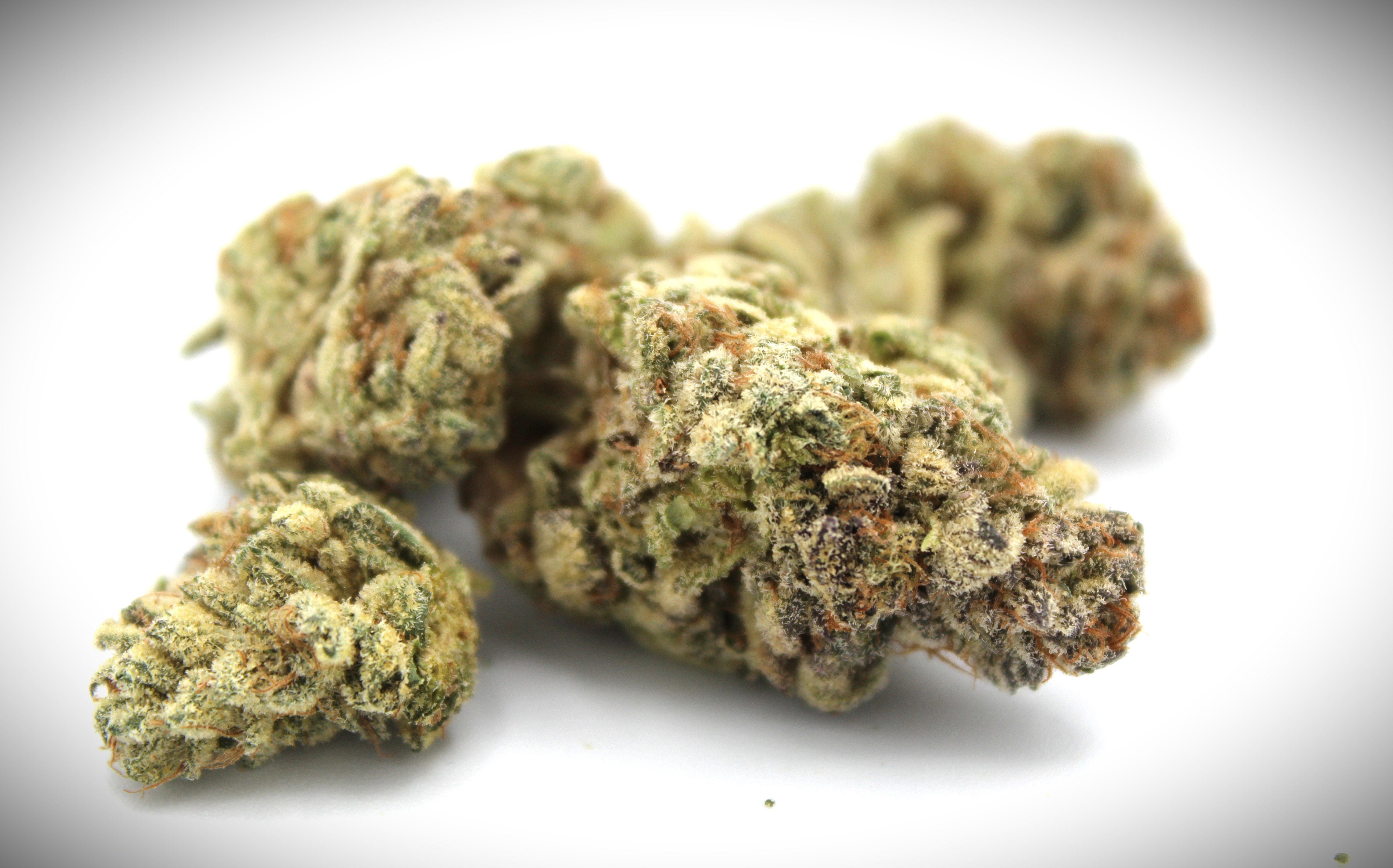 Deep Fried Ice Cream