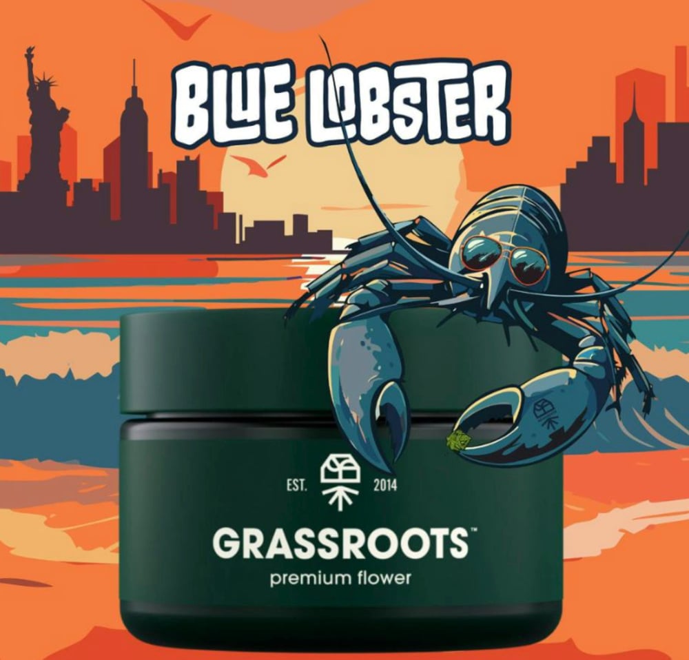 Blue Lobster