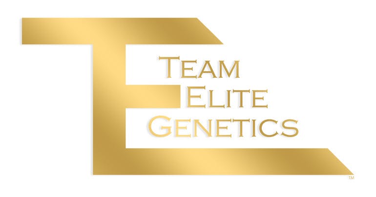 Pineapple Cup [500mg]