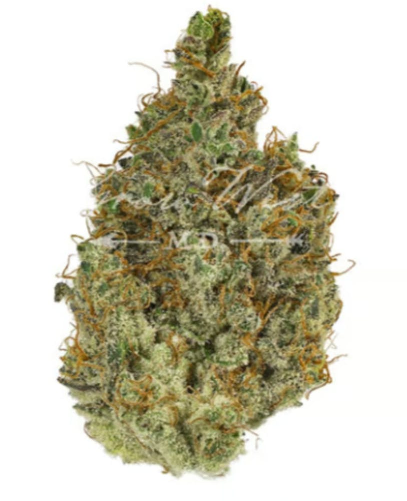 Neapolitan Space Cream - 1/8oz in Rockville
