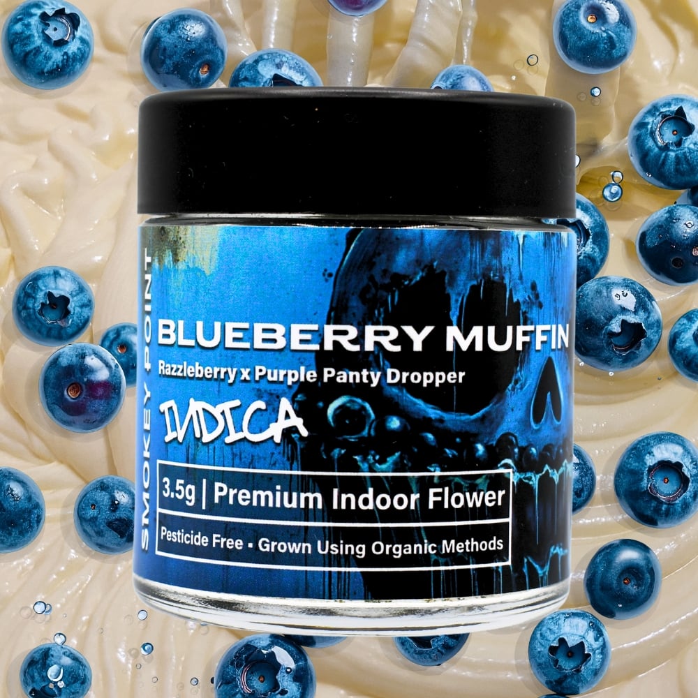 Blueberry Muffin