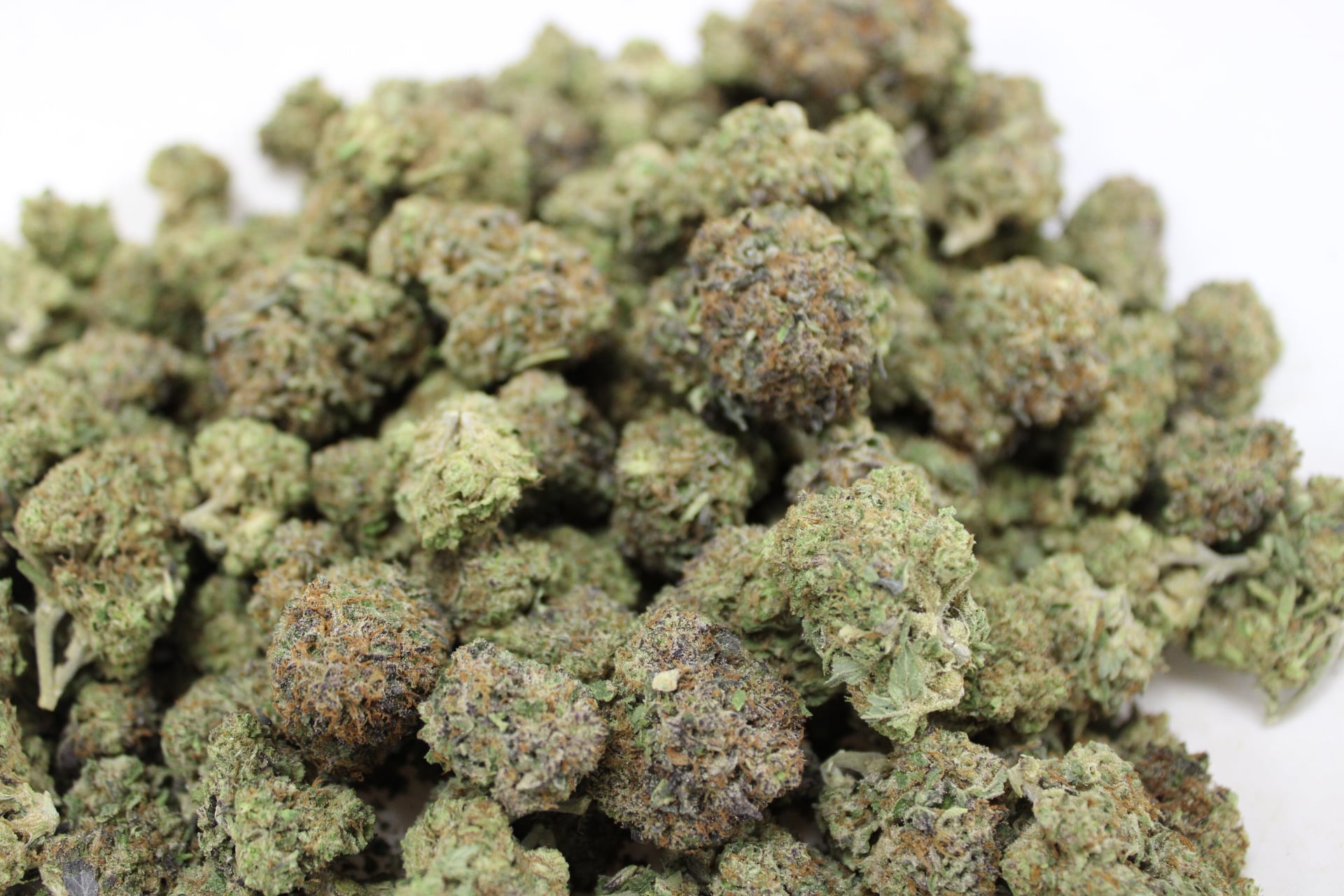 Dakota Green Terp Ranch - Loud Cow - Bulk Flower - Indica