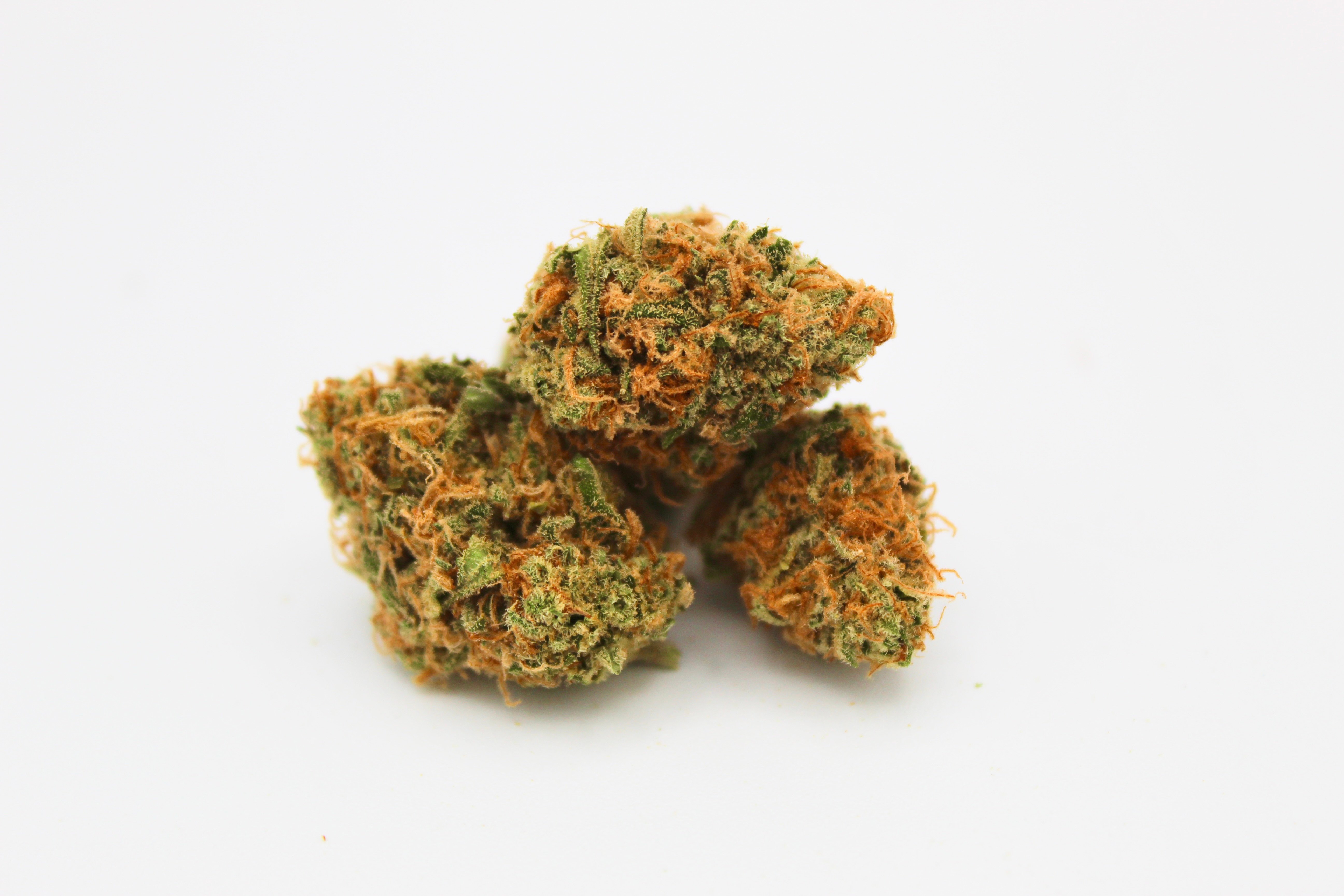 Blueberry Headband