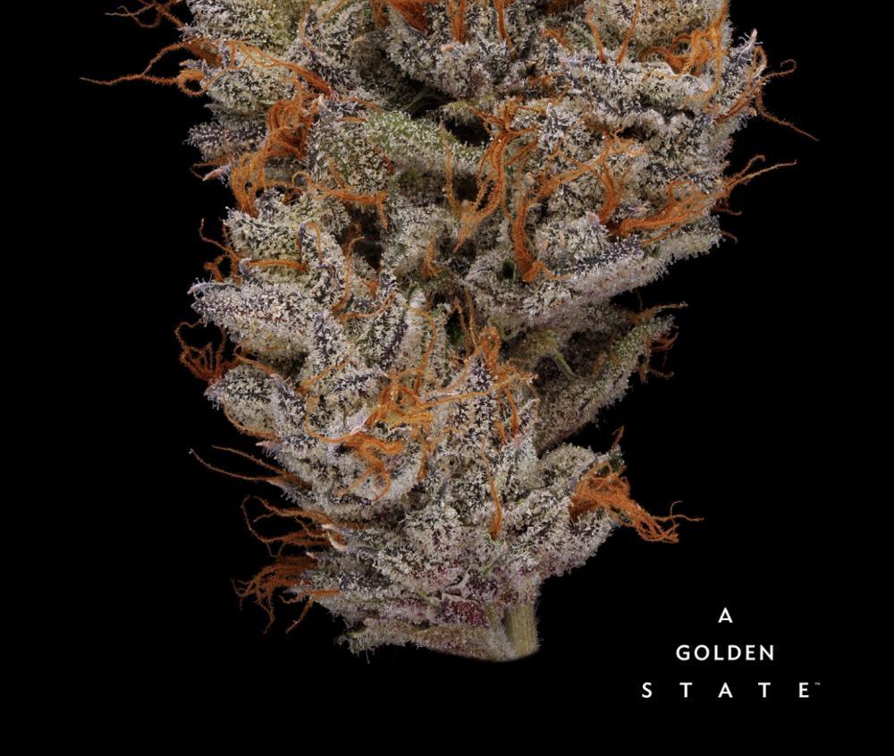 Night Sky (Indica) - 1/8