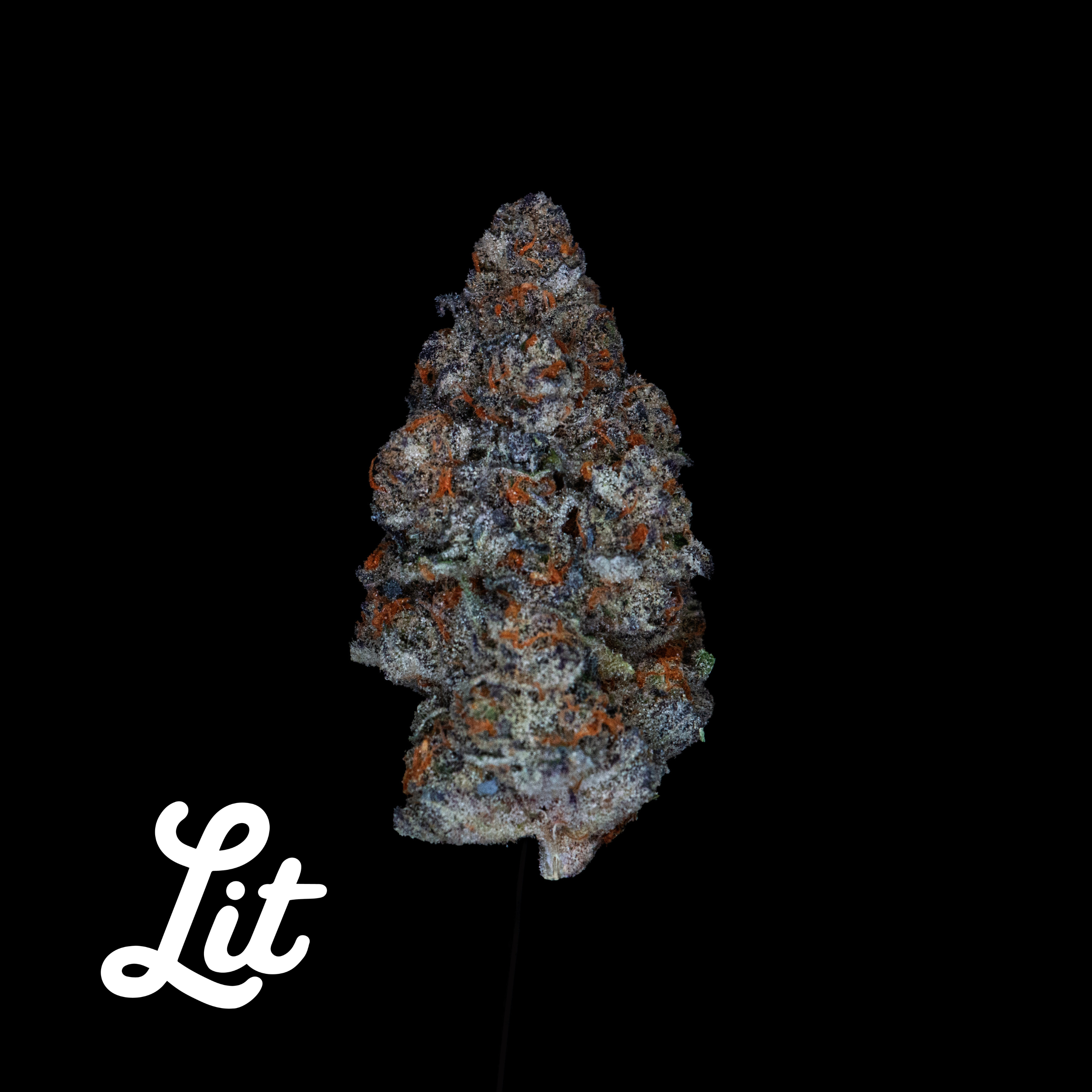 Grape Cream Cake | Lit