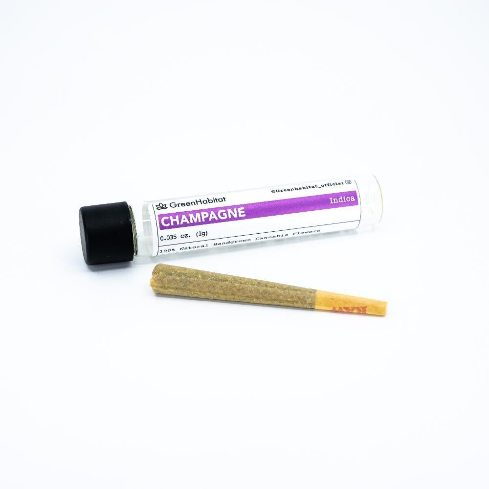 Champagne [1g]