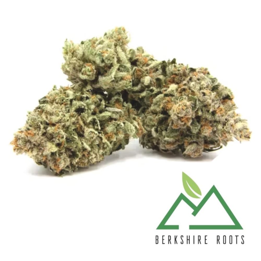 Berkshire Roots - D Sailor Flower Berkshire Roots - D Sailor Flower