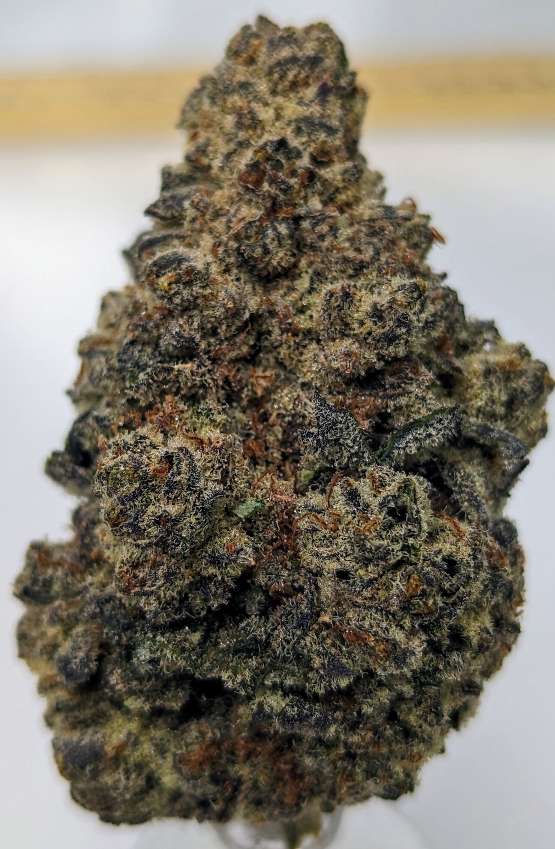 Watermelon Rush | Tier 2