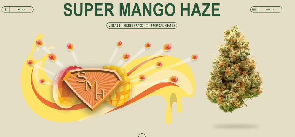 Super Mango Haze