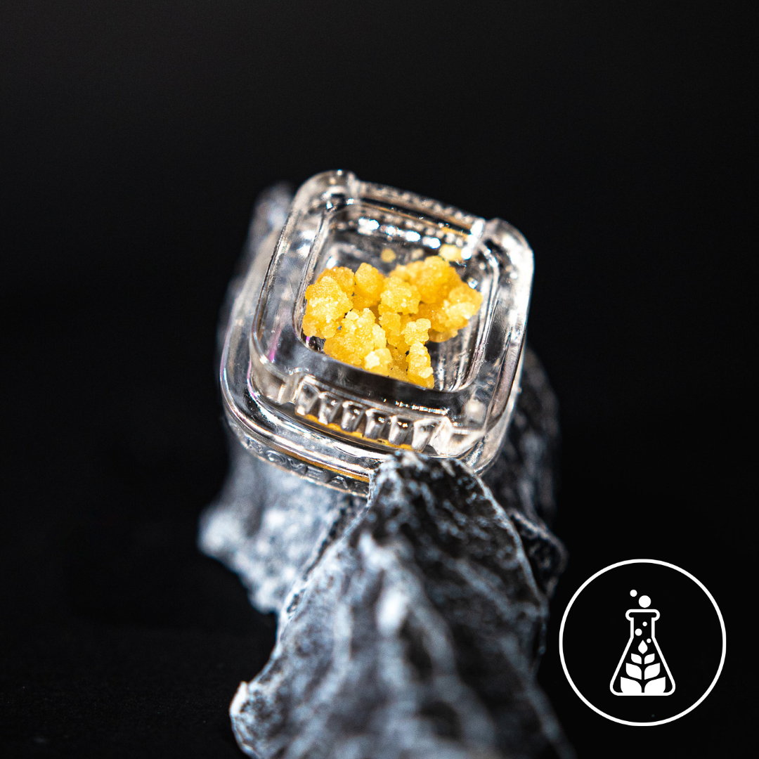 1g | Crumble | Gastro Pop B.H.O. #39313