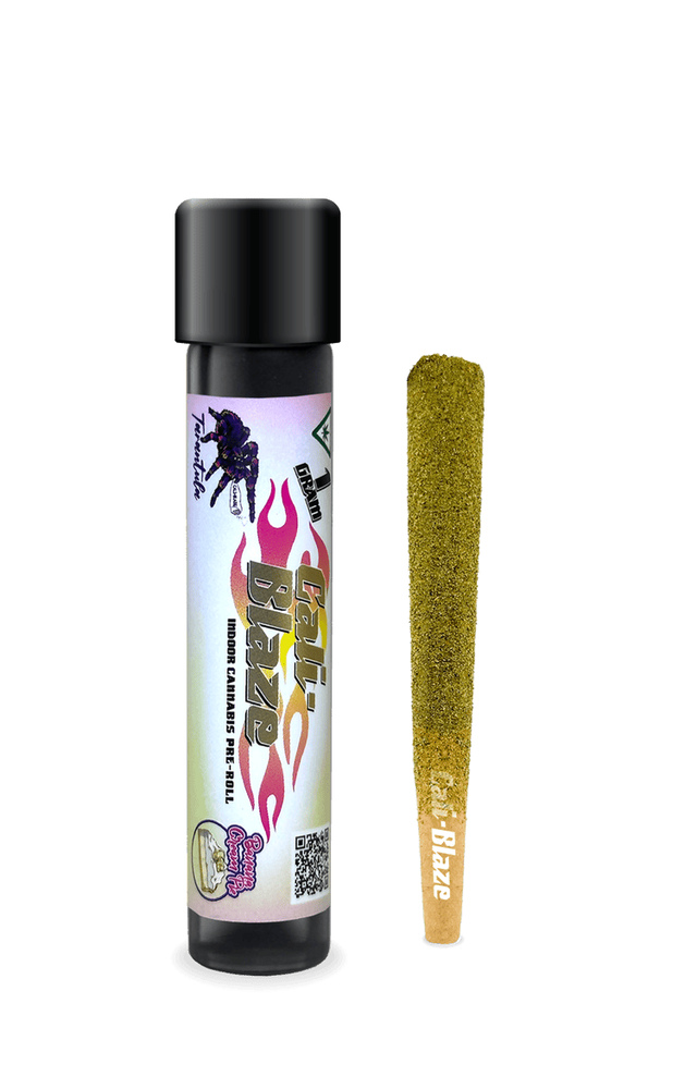 1g - Infused Banana Cream Pie