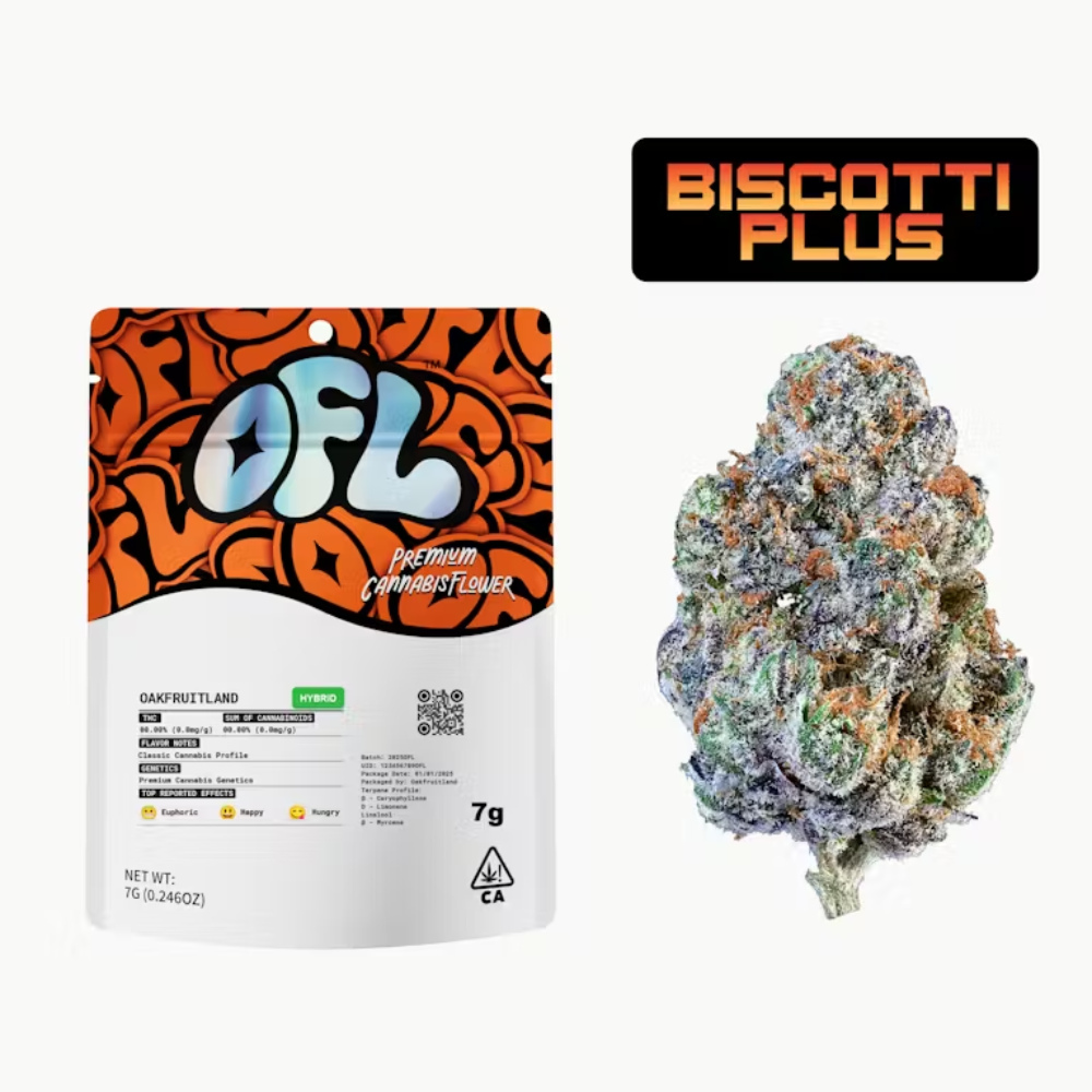 Biscotti Plus