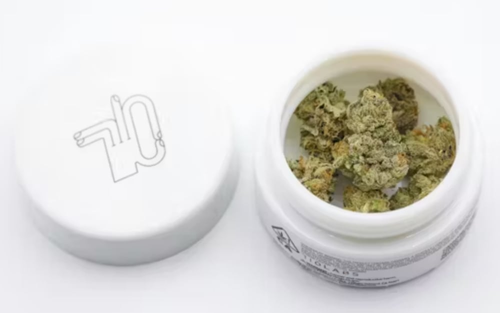 Lemon Tart Pucker #1 Lemon Tart Pucker #1