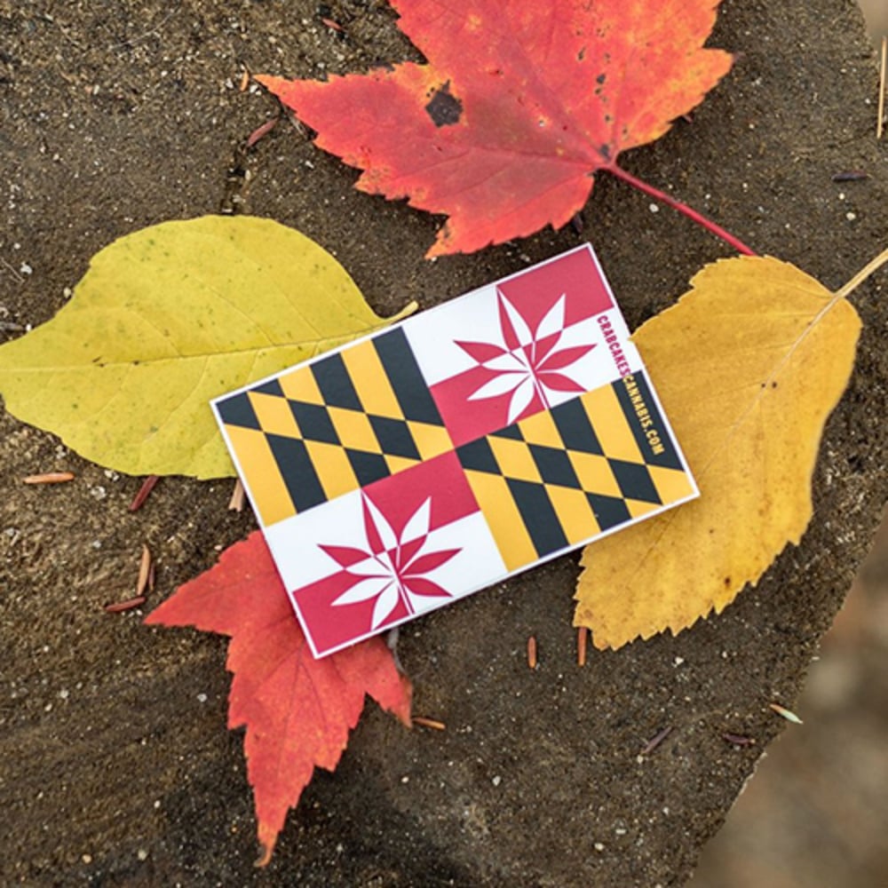 MD Flag Magnet