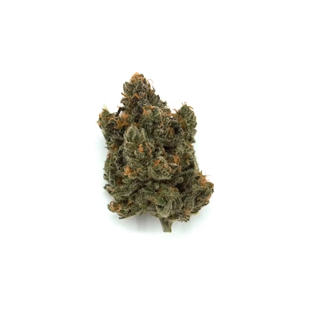 Budhaus - Blue Cookies Flower