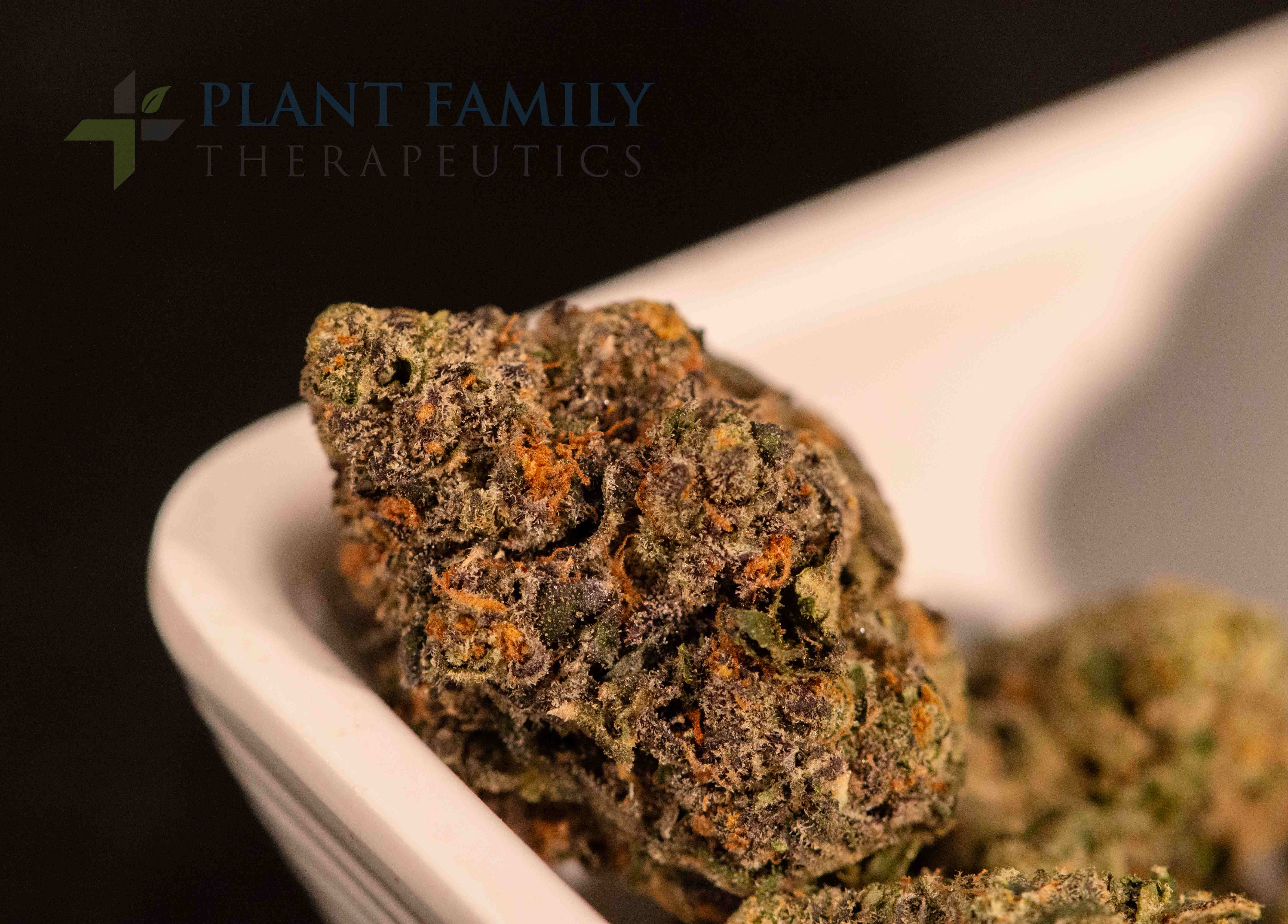 Shop Jokerz #53 | Plant Family Therapeutics Dispensary Mountain