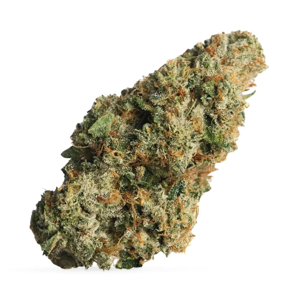 Louis XIII
