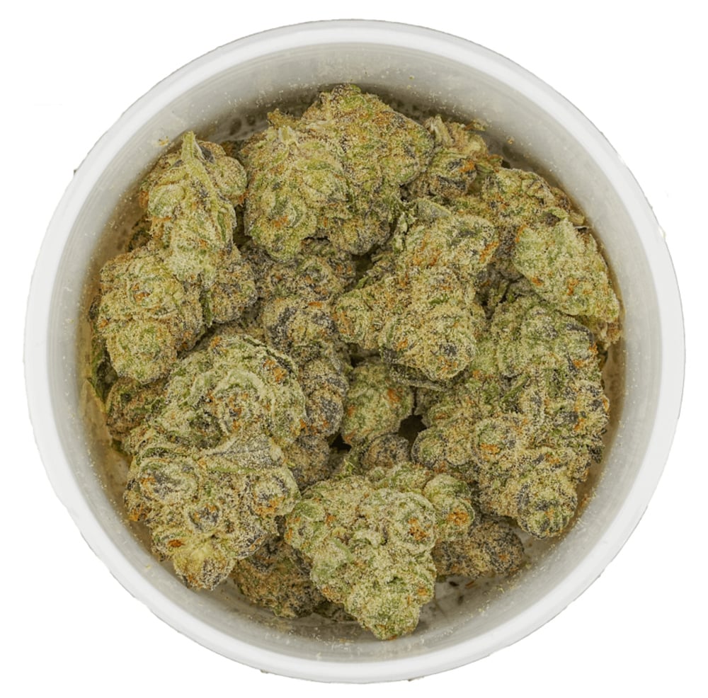 Black Anise