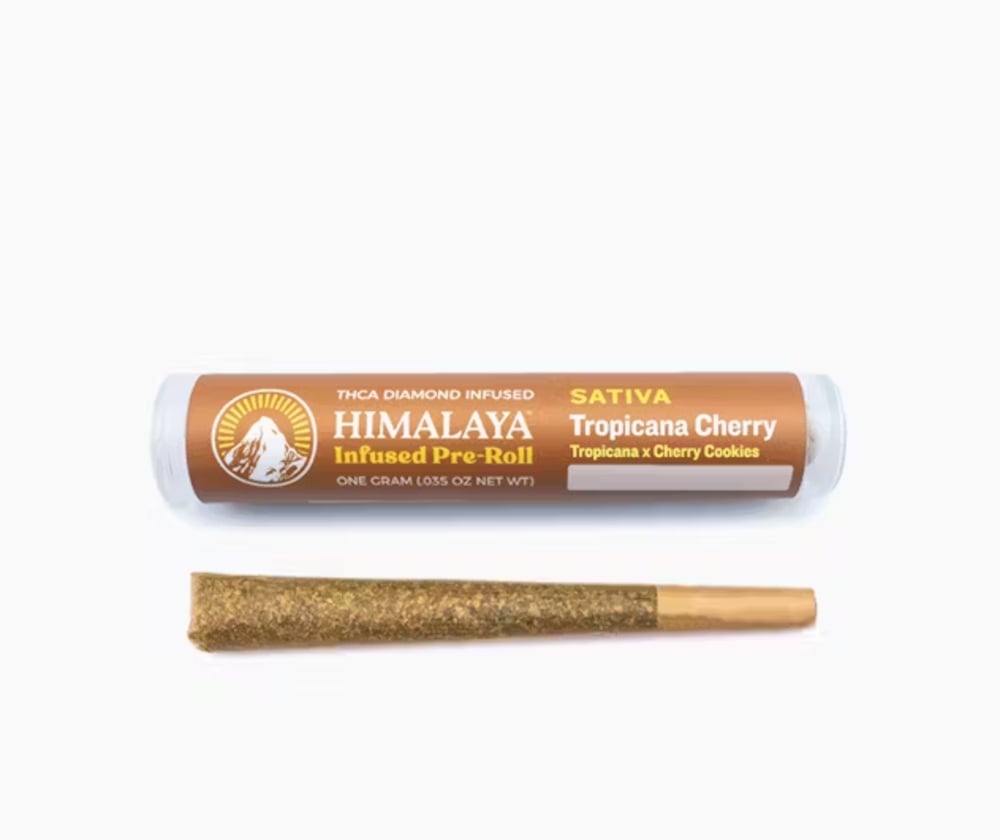Tropicana Cherry [1g]