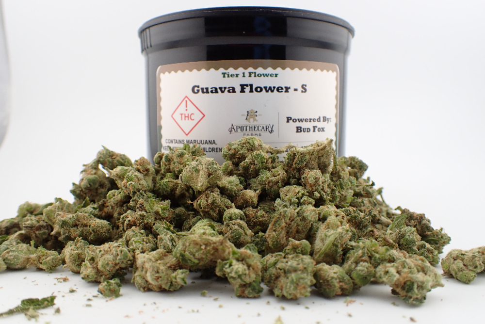 Guava