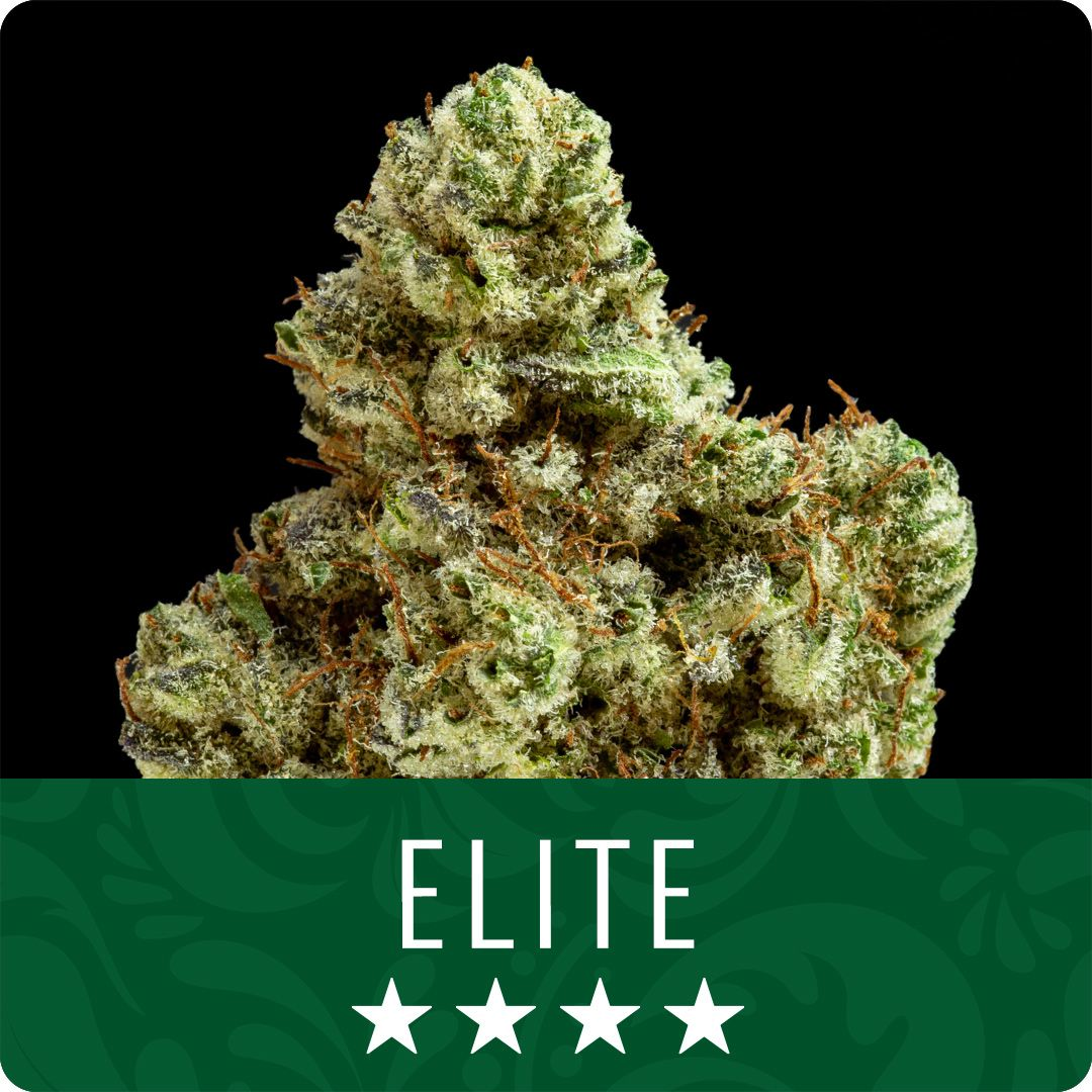 Runtz Banger Runtz Banger