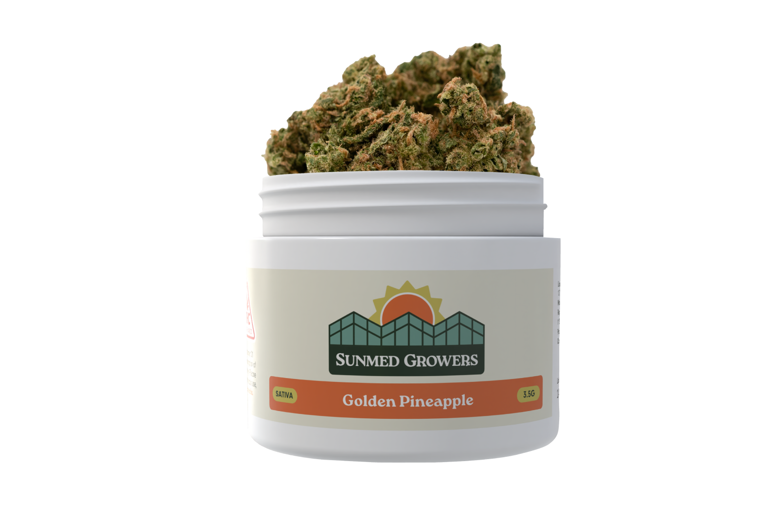 Golden Pineapple Golden Pineapple