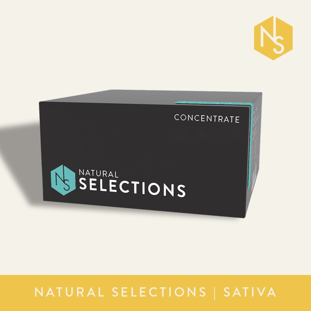 Natural Selections  Pura Vida Live Badder
