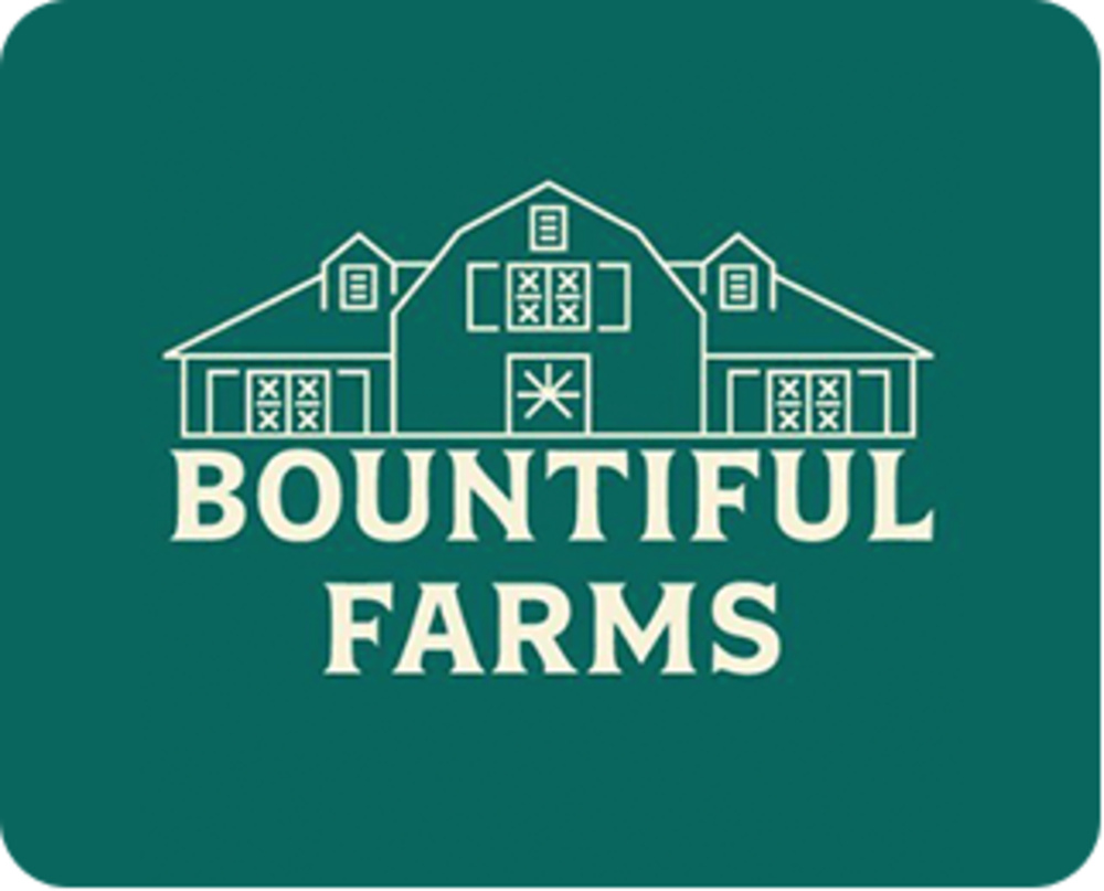 Bountiful Farms - Cheese Wiz - Flower - 14g