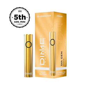 5th Generation Mini Battery - Gold