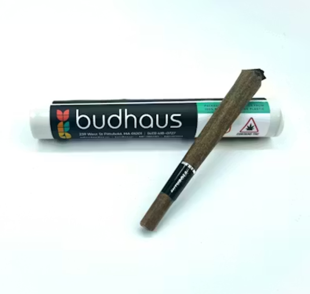 1g - White Widow Blunt