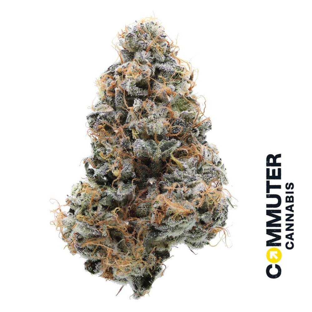 Commuter Cannabis - Pave Flower Commuter Cannabis - Pave Flower