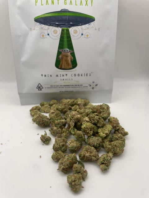 Thin Mint Cookies