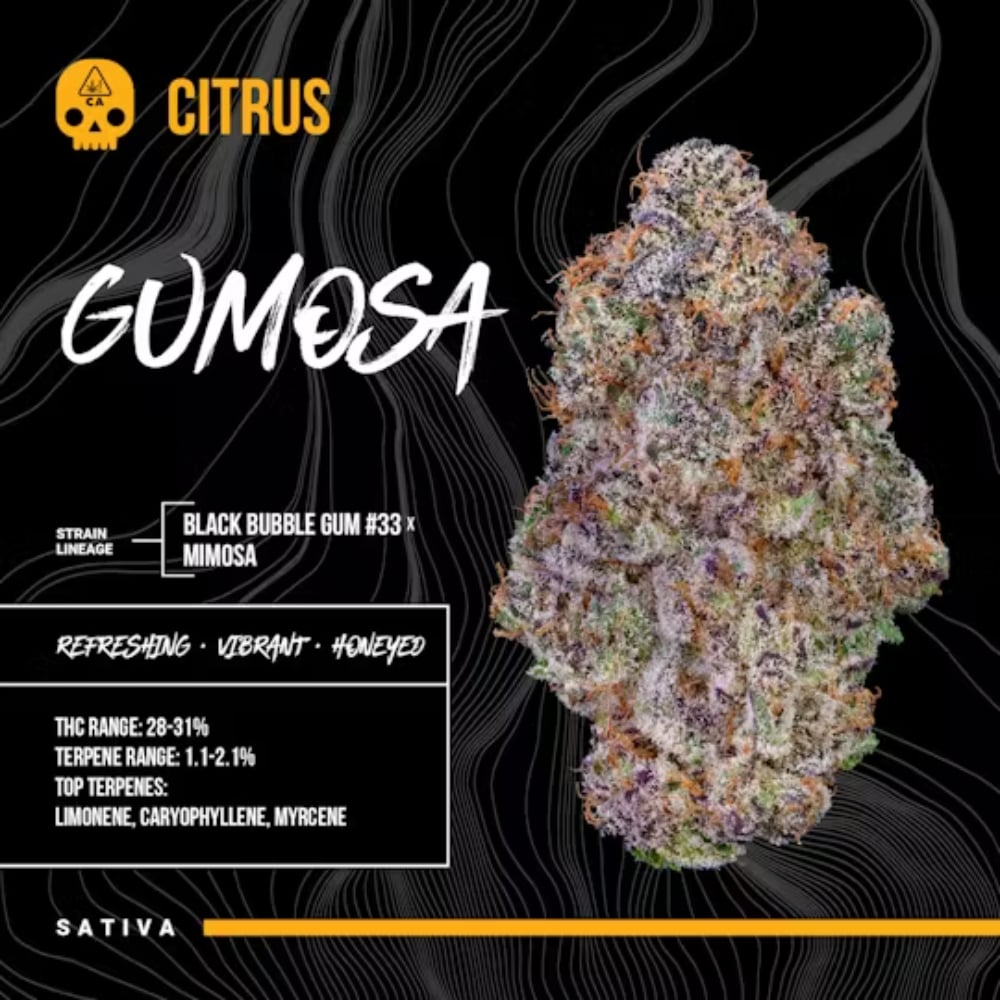 Gumosa