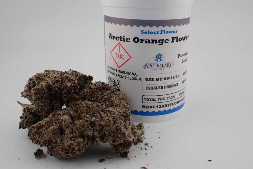 Arctic Orange