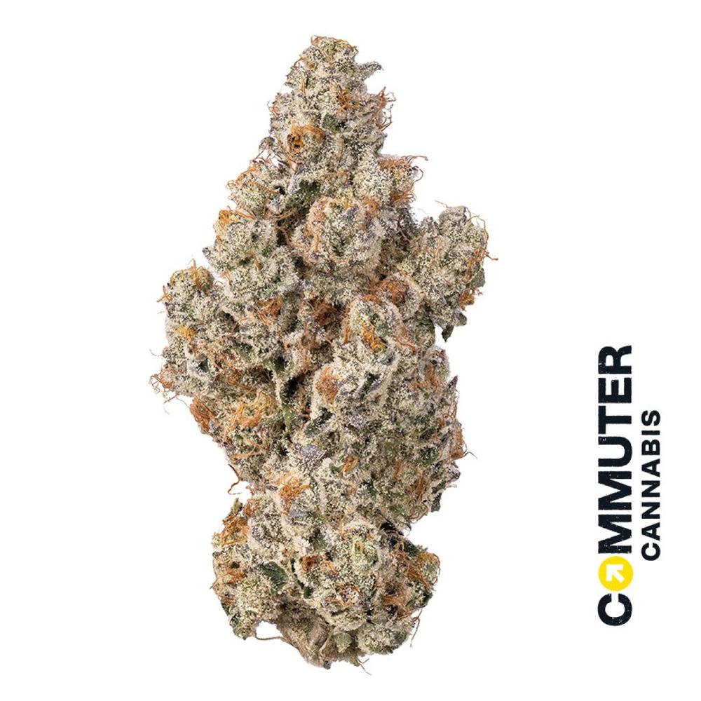 Commuter Cannabis - Lemon Balm Flower - 1/8oz in West Springfield
