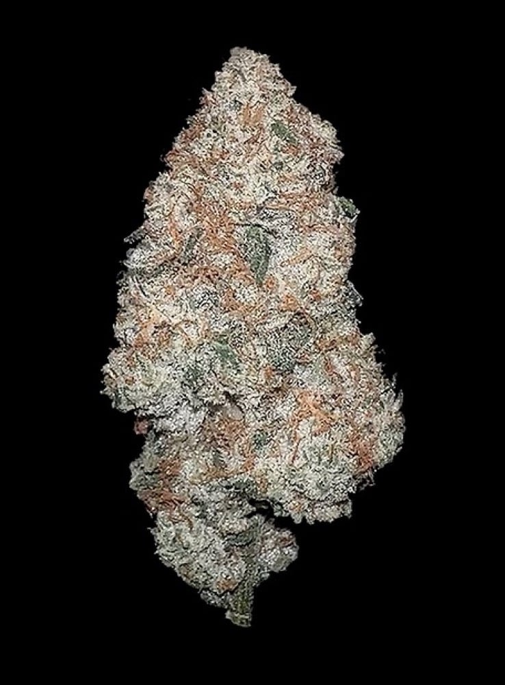 HighMark Provisions - Blueberry Headband Flower HighMark Provisions - Blueberry Headband Flower