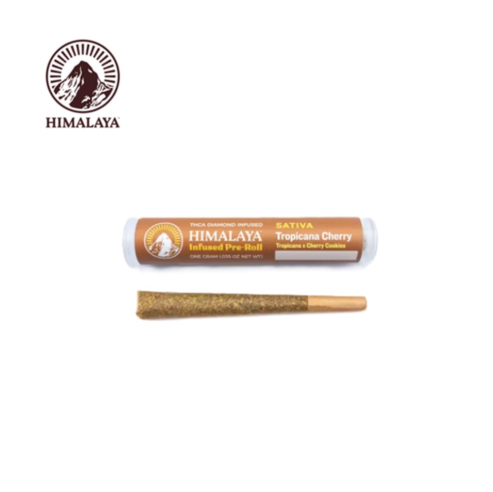 TROPICANA CHERRY 1G DIAMOND INFUSED PREROLL