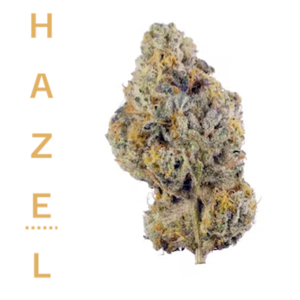 Hazel - Tropical Cake Flower