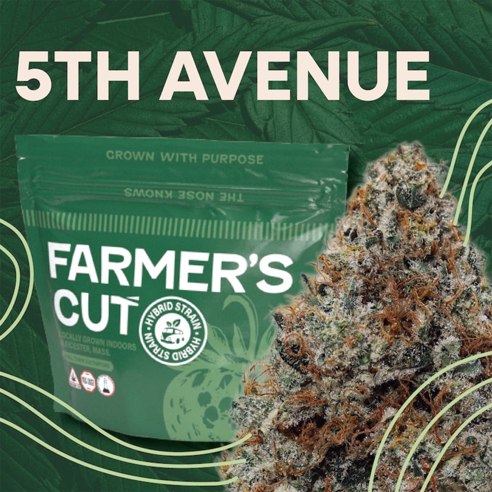 Farmer's Cut - 5th Avenue Flower