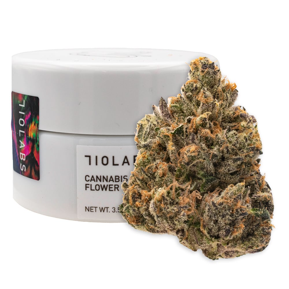 Shop Zkyscraperz #2 | Elemental Dispensary San Jose