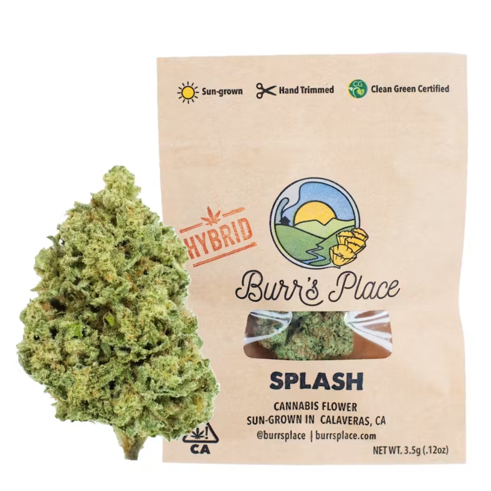Splash