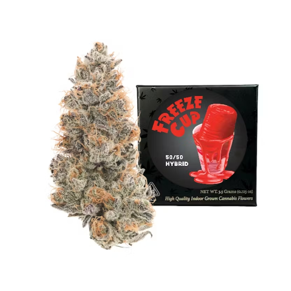 Freeze Cup
